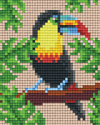 Colourful Toucan