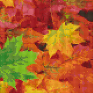 Autumn Leaves
