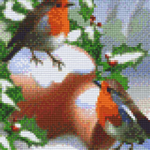 Robins