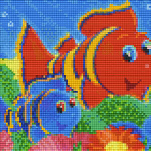 Clown Fish
