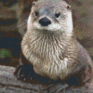 Otter