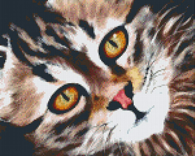 Pussy Cat