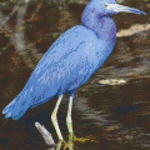 Blue Heron
