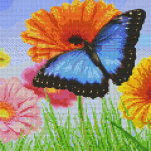 Butterfly on Flower