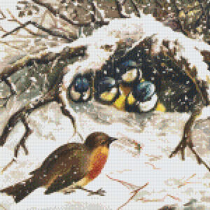 Birds in Snow