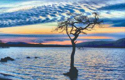 Mackerel Sky