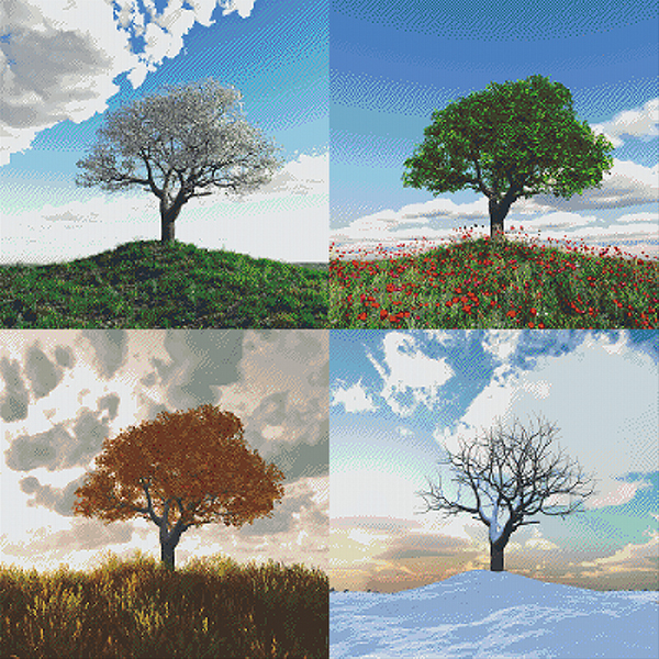 The Seasons