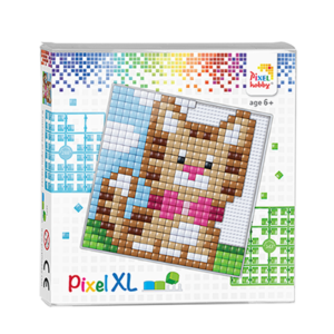 Kitten XL Picture